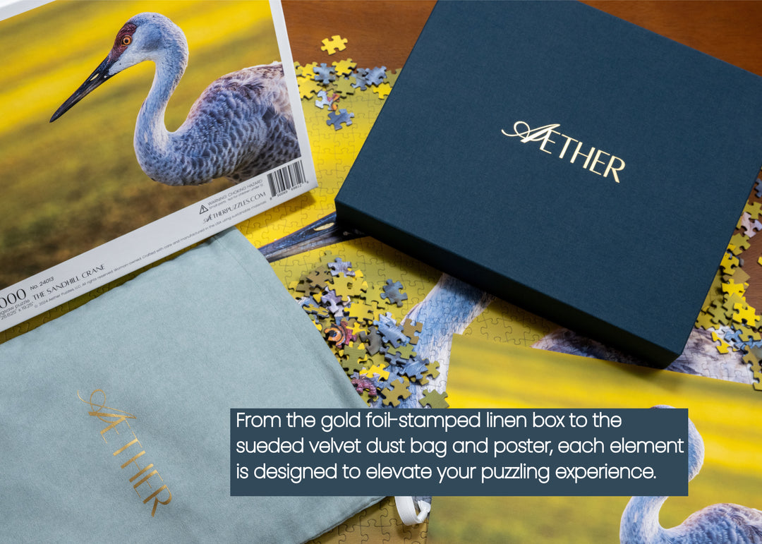 The Sandhill Crane