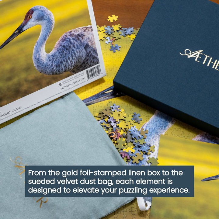 The Sandhill Crane
