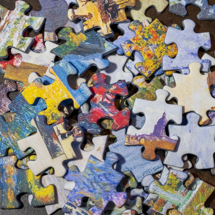 Claude Monet: Impressions of Light, part 1