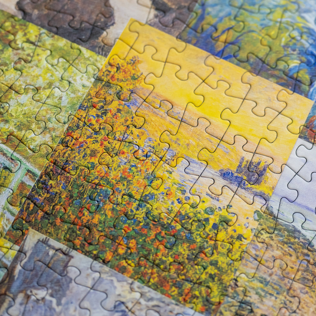 Claude Monet: Impressions of Light, part 1