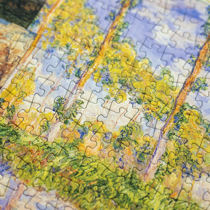 Claude Monet: Impressions of Light, part 3