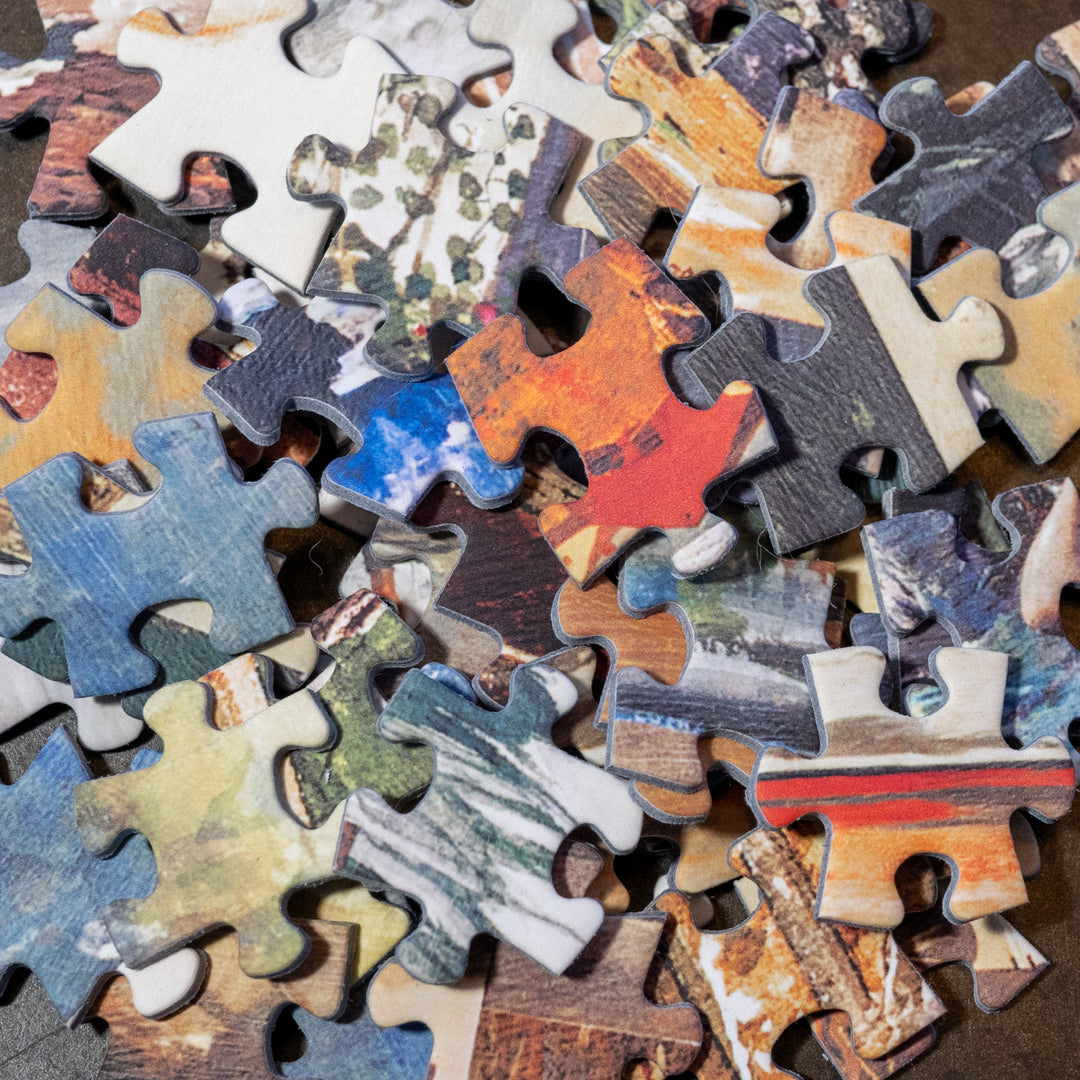 Winslow Homer: The American Spirit