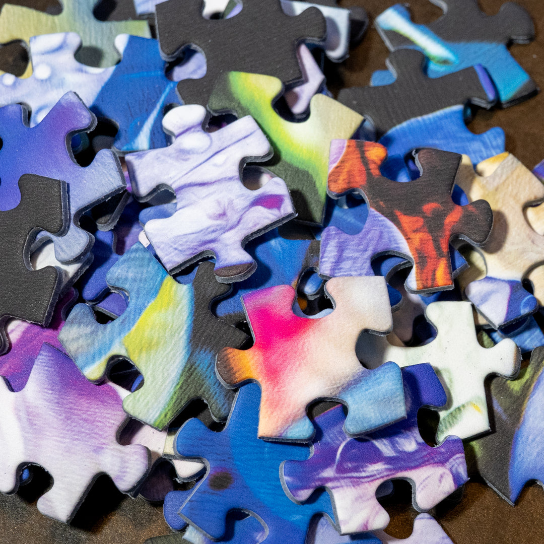 Dew Kissed Hydrangea