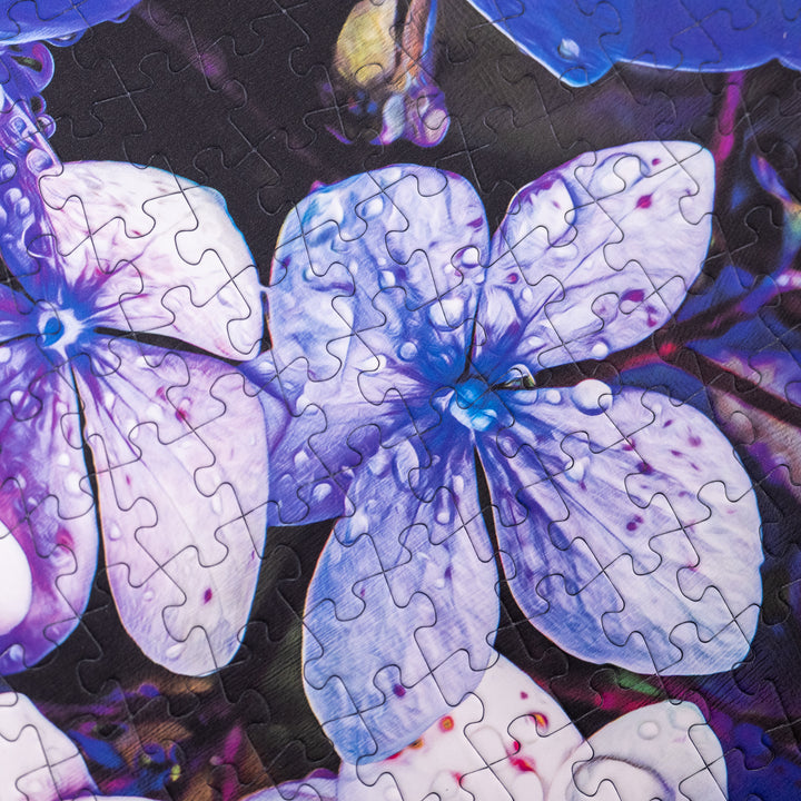 Dew Kissed Hydrangea