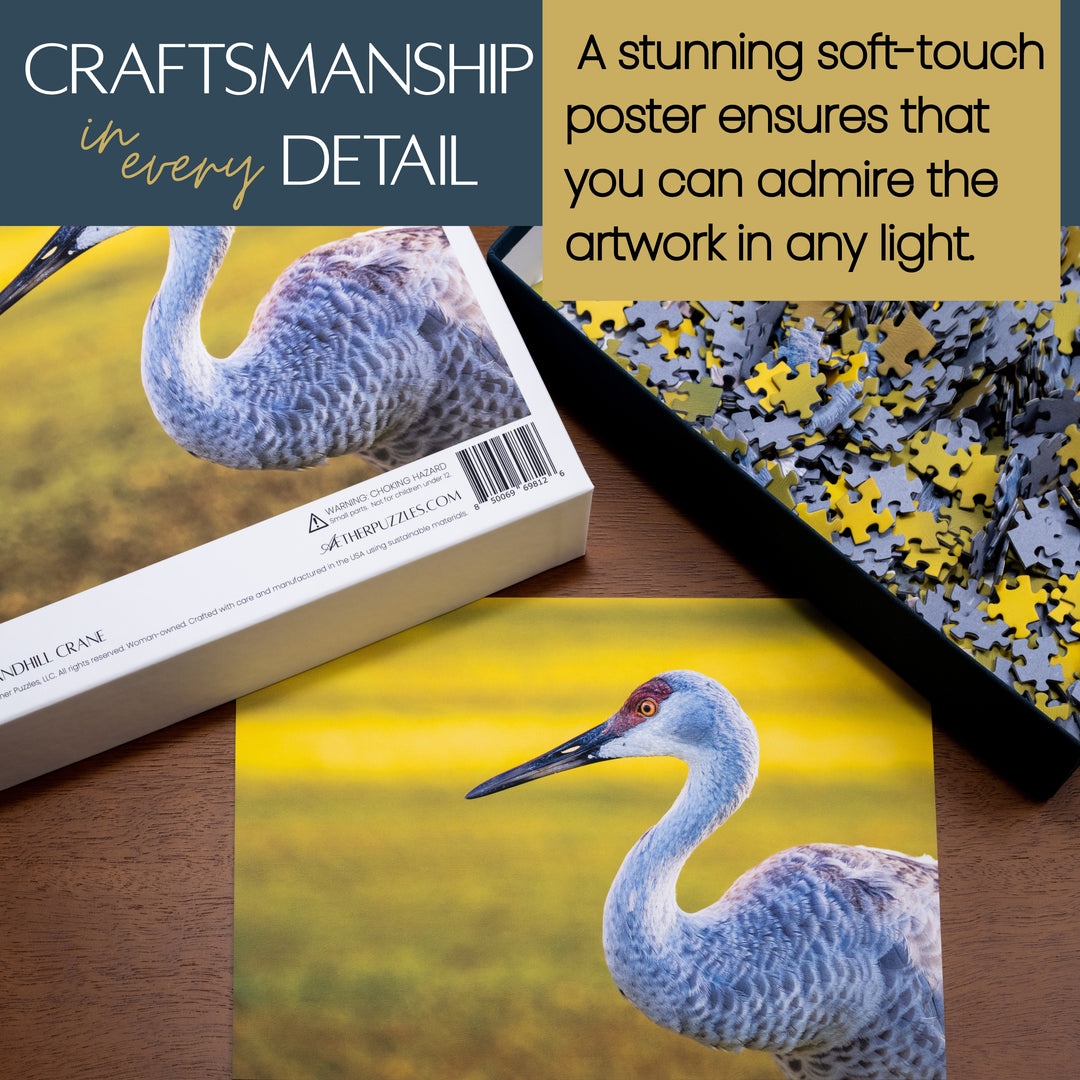 The Sandhill Crane