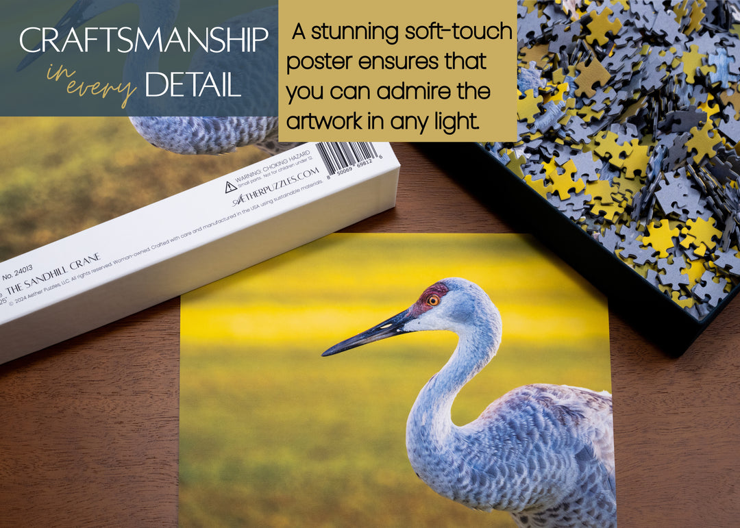 The Sandhill Crane