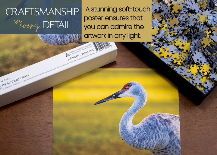The Sandhill Crane