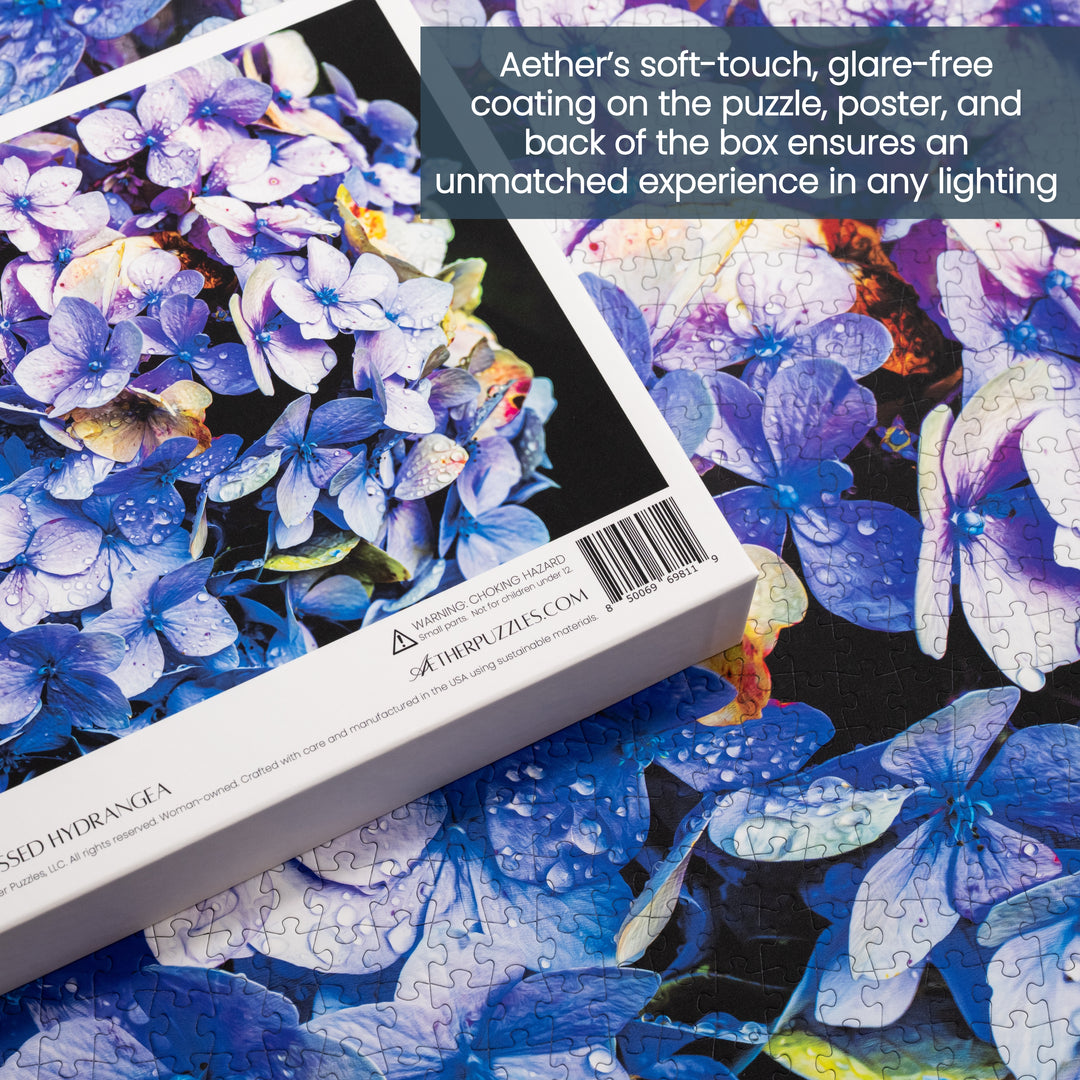 Dew Kissed Hydrangea