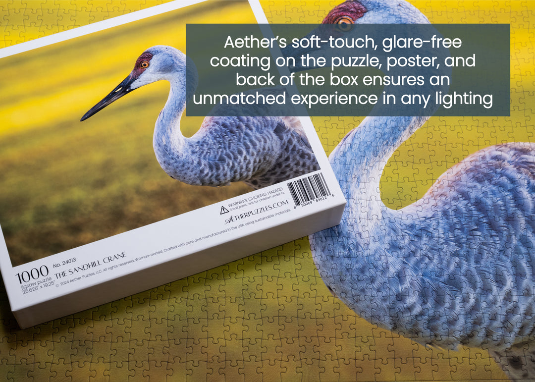 The Sandhill Crane