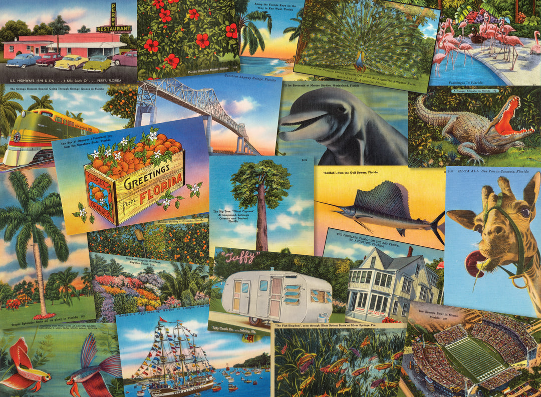 Postcards from Florida
