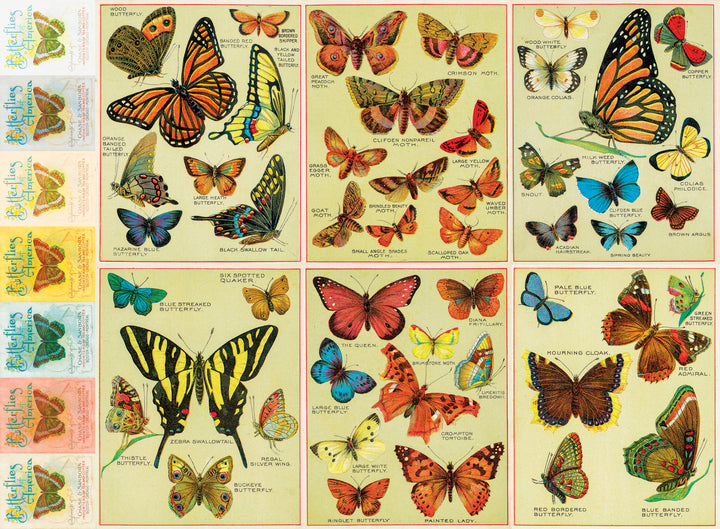 Butterflies of America